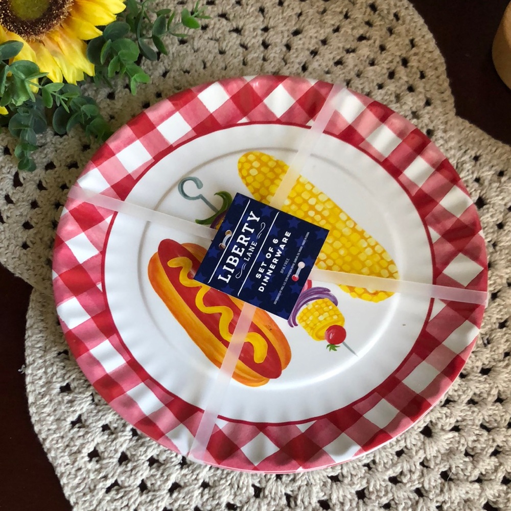 Red Gingham Melamine Plates with Hot Dog and Corn Illustration Picnic BBQ